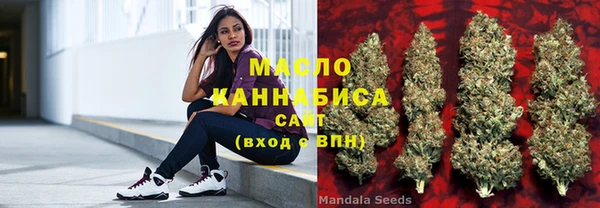 гидра Майский