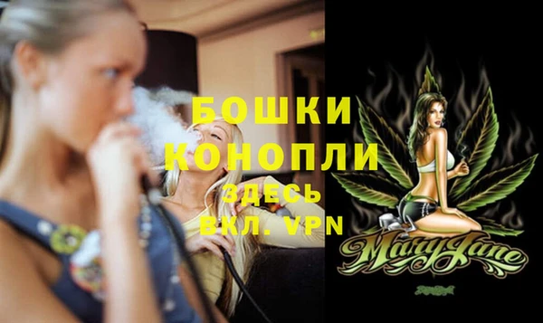 гидра Майский