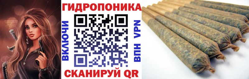 Бошки марихуана OG Kush  Купить где  Шумиха 